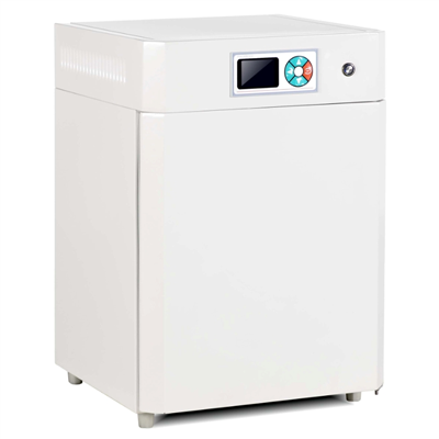 电热恒温培养箱 DHP-9162(160L)